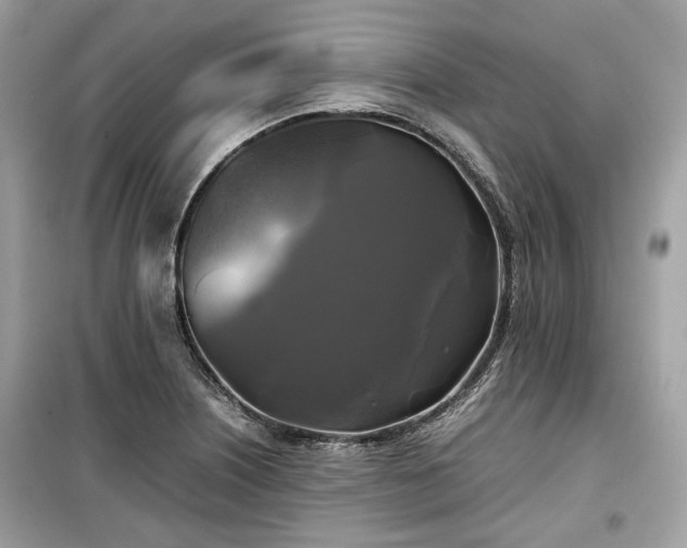X0000099411226200805161013