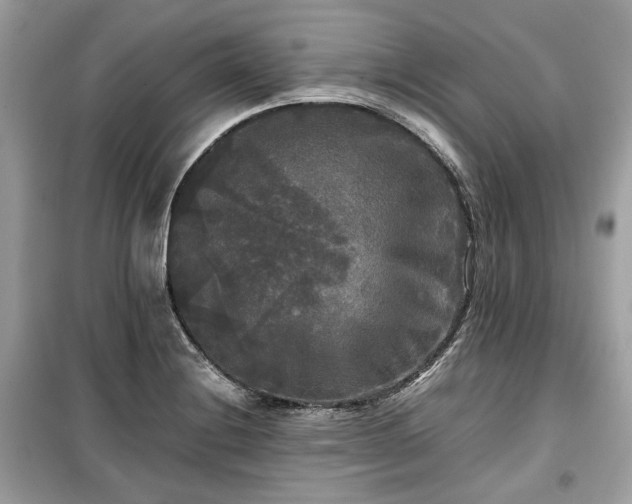 X0000099411228200805161013