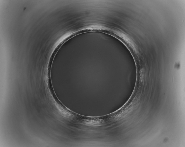 X0000099411229200805161013
