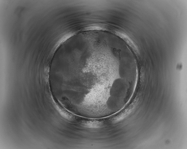 X0000099411233200805161013