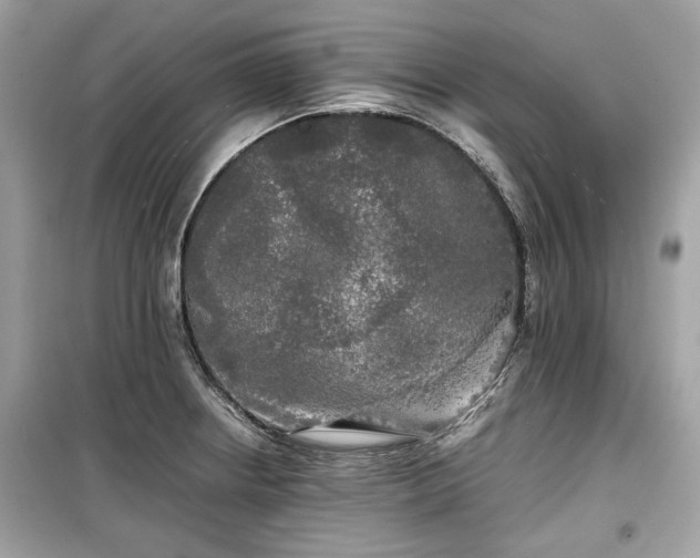 X0000099411234200805161013