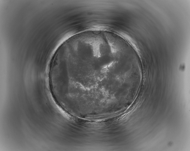 X0000099411235200805161013