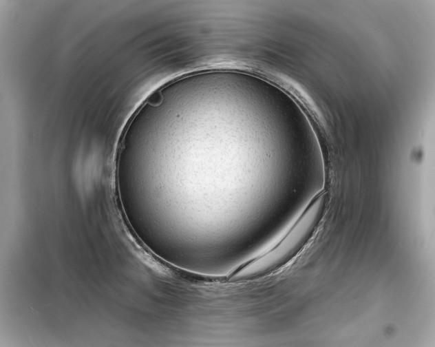 X0000099411236200805161013