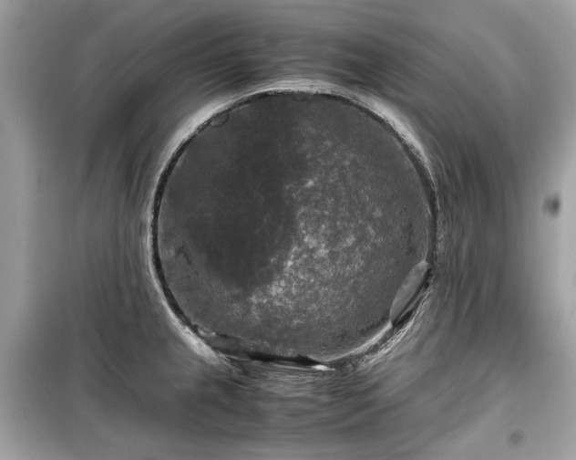 X0000099411237200805161013