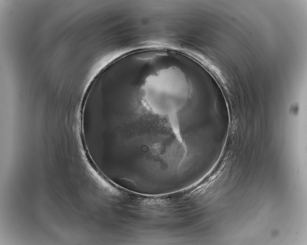 X0000099411239200805161013