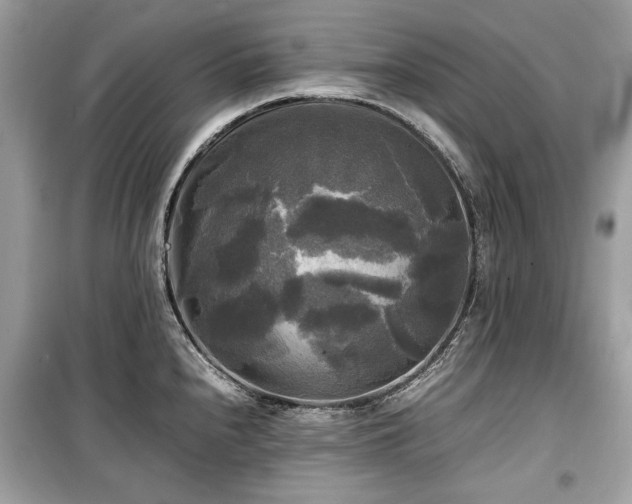 X0000099411240200805161013