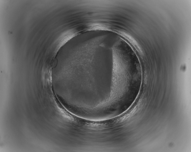 X0000099411241200805161013