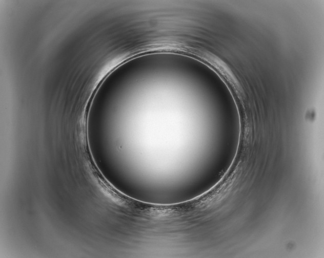 X0000099411242200805161013