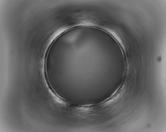 X0000099411245200805161013