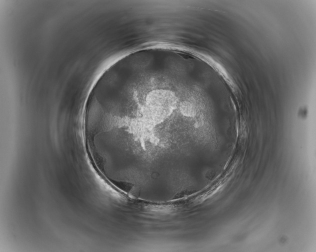X0000099411247200805161013