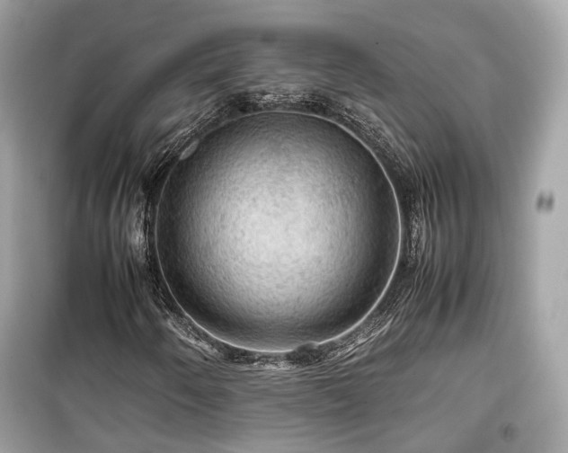 X0000099411250200805161012