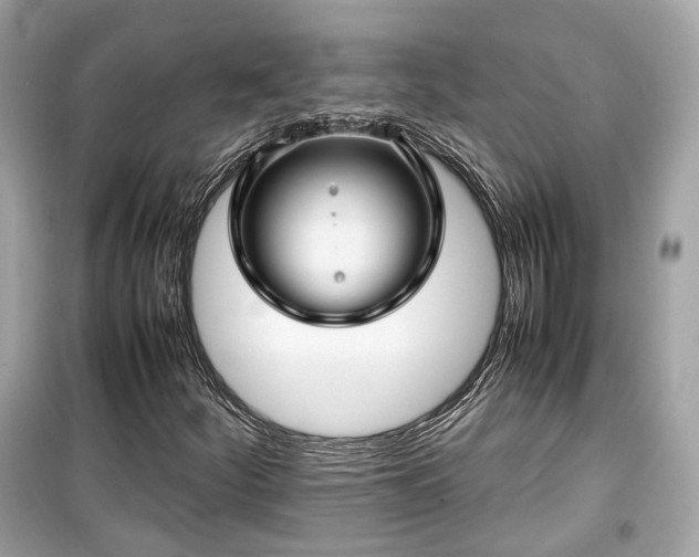 X0000099411252200805161012