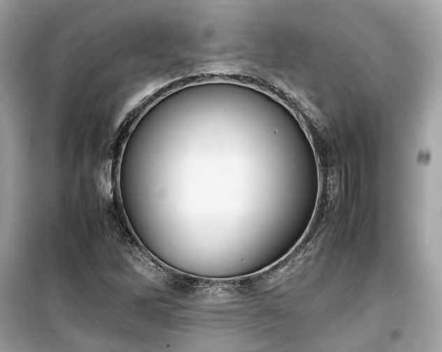 X0000099411262200805161012