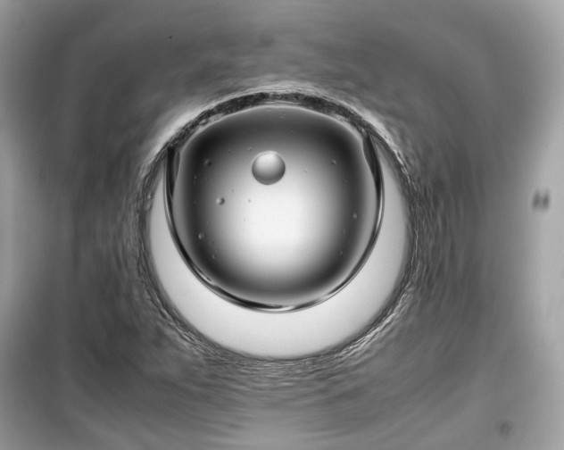 X0000099411263200805161012