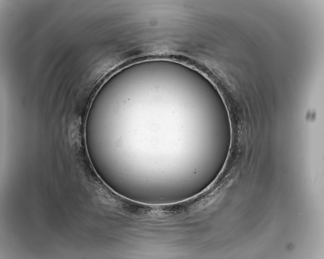 X0000099411265200805161012