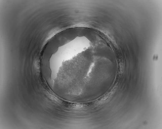 X0000099411266200805161012