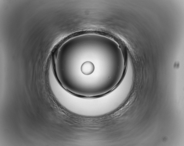 X0000099411267200805161012