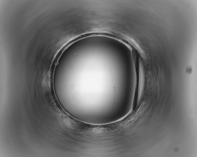 X0000099411268200805161012