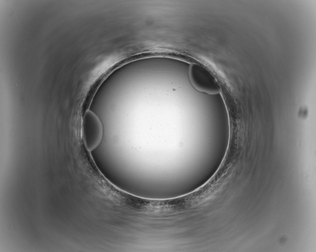 X0000099411269200805161012