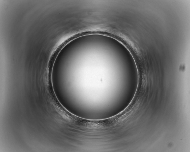 X0000099411270200805161012