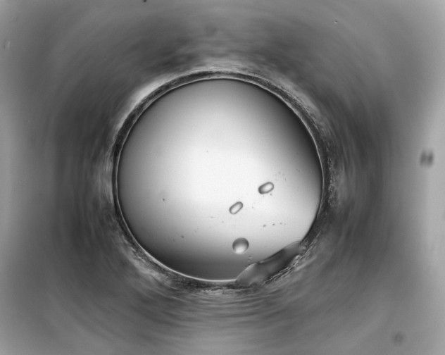 X0000099411272200805161012