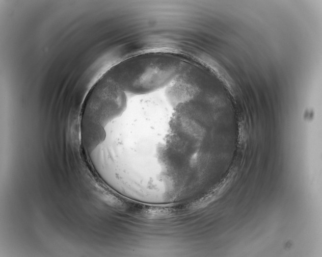 X0000099411274200805161012