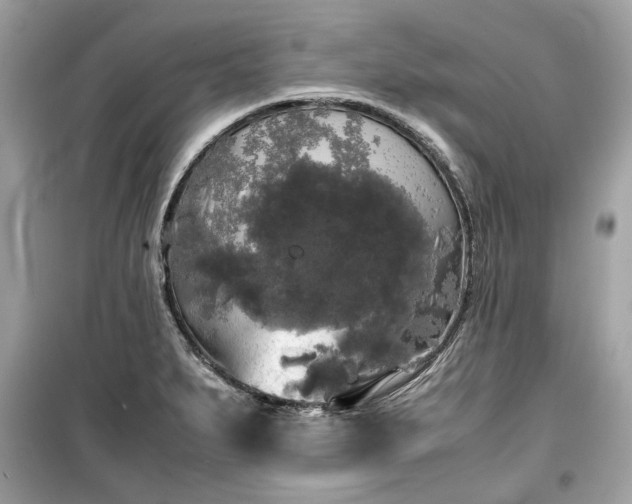 X0000099411279200805161012