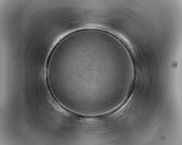 X0000099411280200805161012