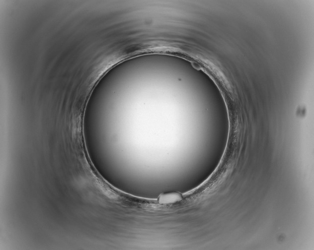 X0000099411281200805161012