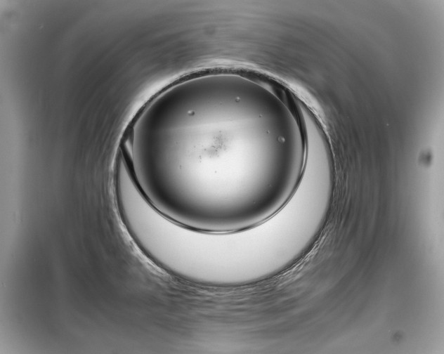X0000099411287200805161012