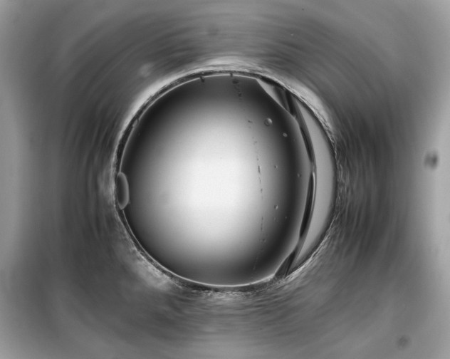 X0000099411288200805161012