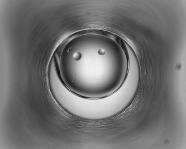 X0000099411291200805161011