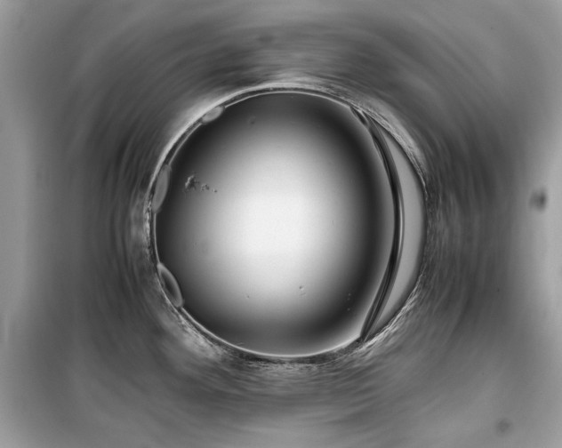X0000099411292200805161011
