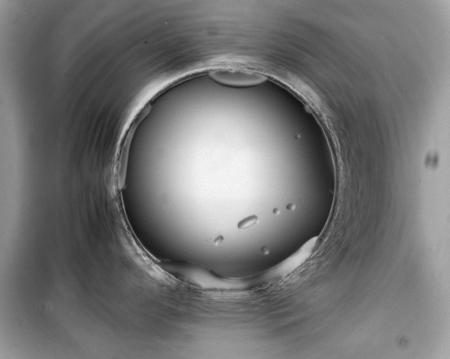 X0000099411296200805161011