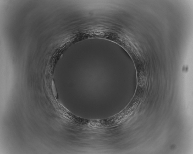 X0000099411297200805161011