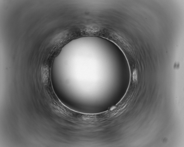 X0000099411299200805161011