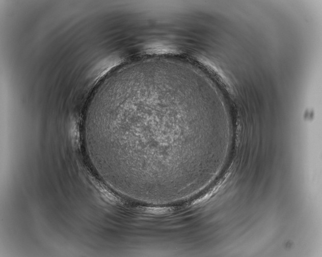 X0000099411305200805161011