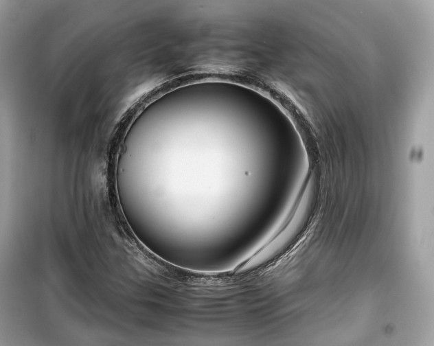 X0000099411307200805161011