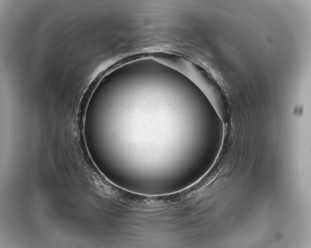 X0000099411308200805161011