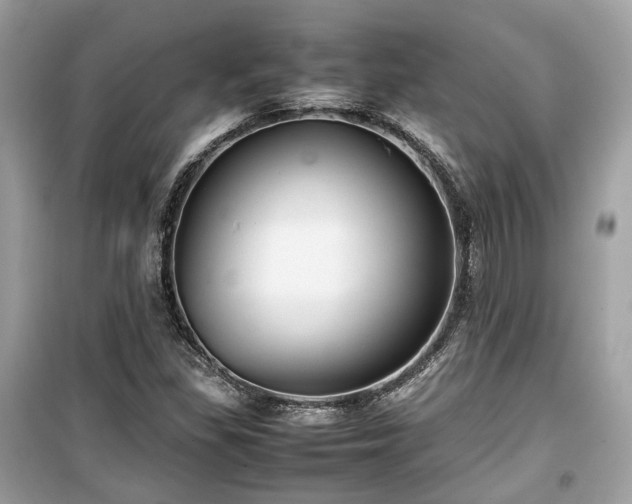 X0000099411309200805161011