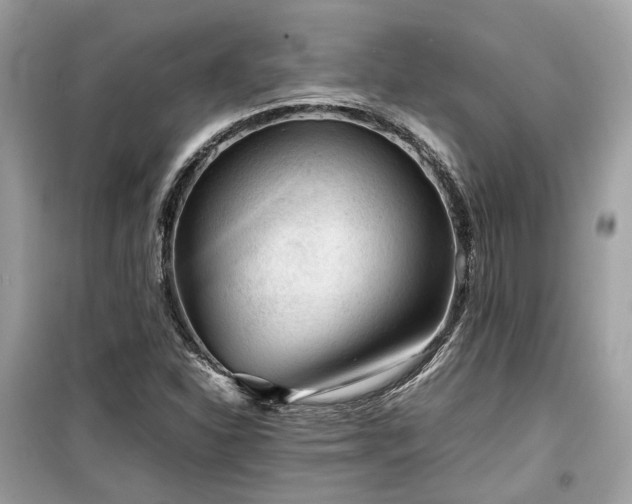 X0000099411310200805161011