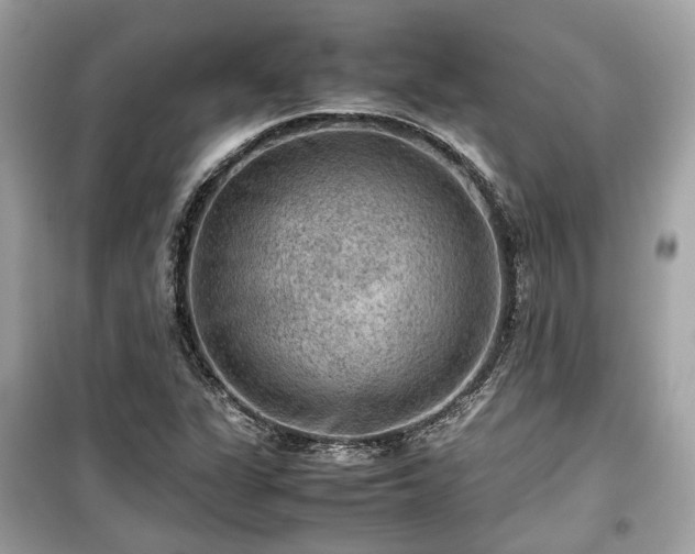 X0000099411311200805161011