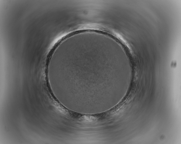 X0000099411312200805161011