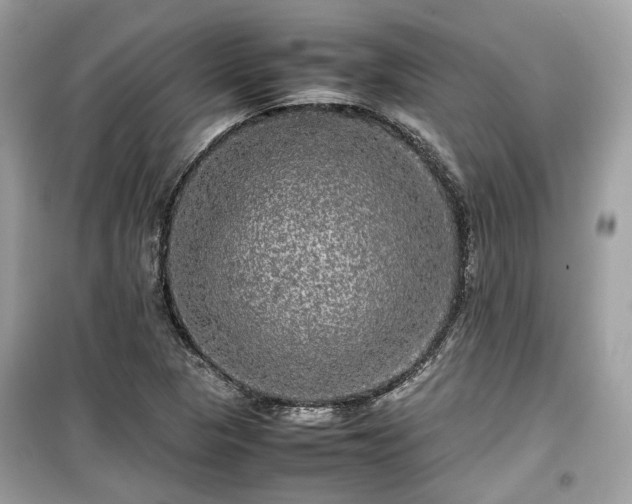 X0000099411313200805161011