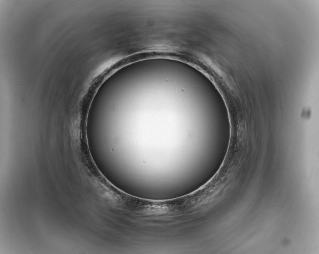 X0000099411315200805161011