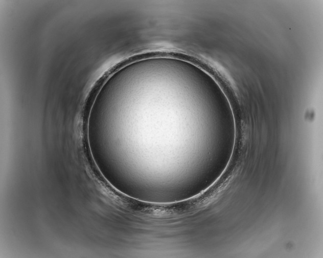 X0000099411318200805161011