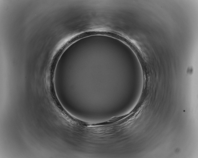 X0000099411319200805161011