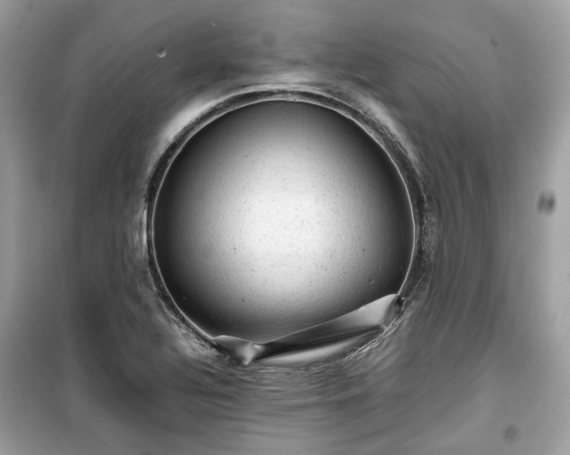 X0000099411320200805161011