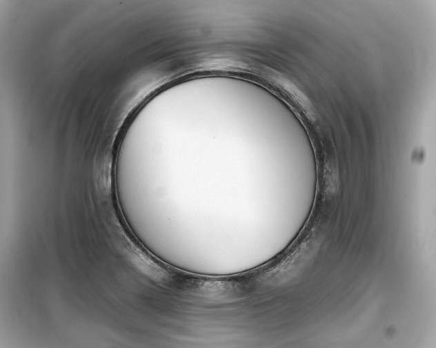 X0000099411322200805161011