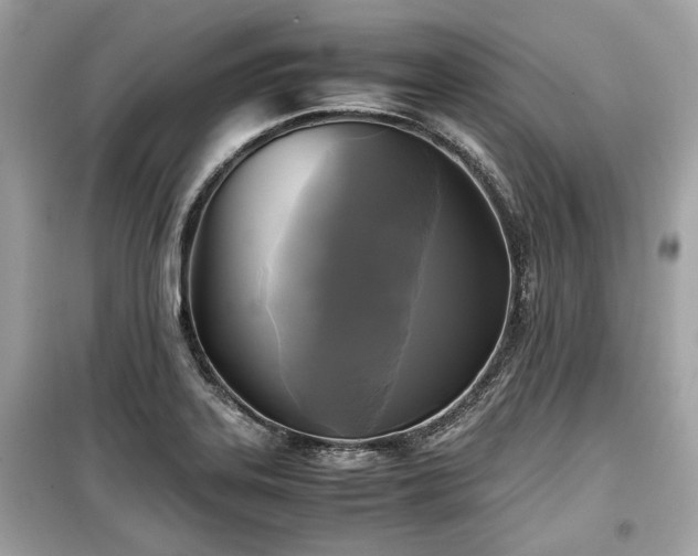 X0000099411323200805161011